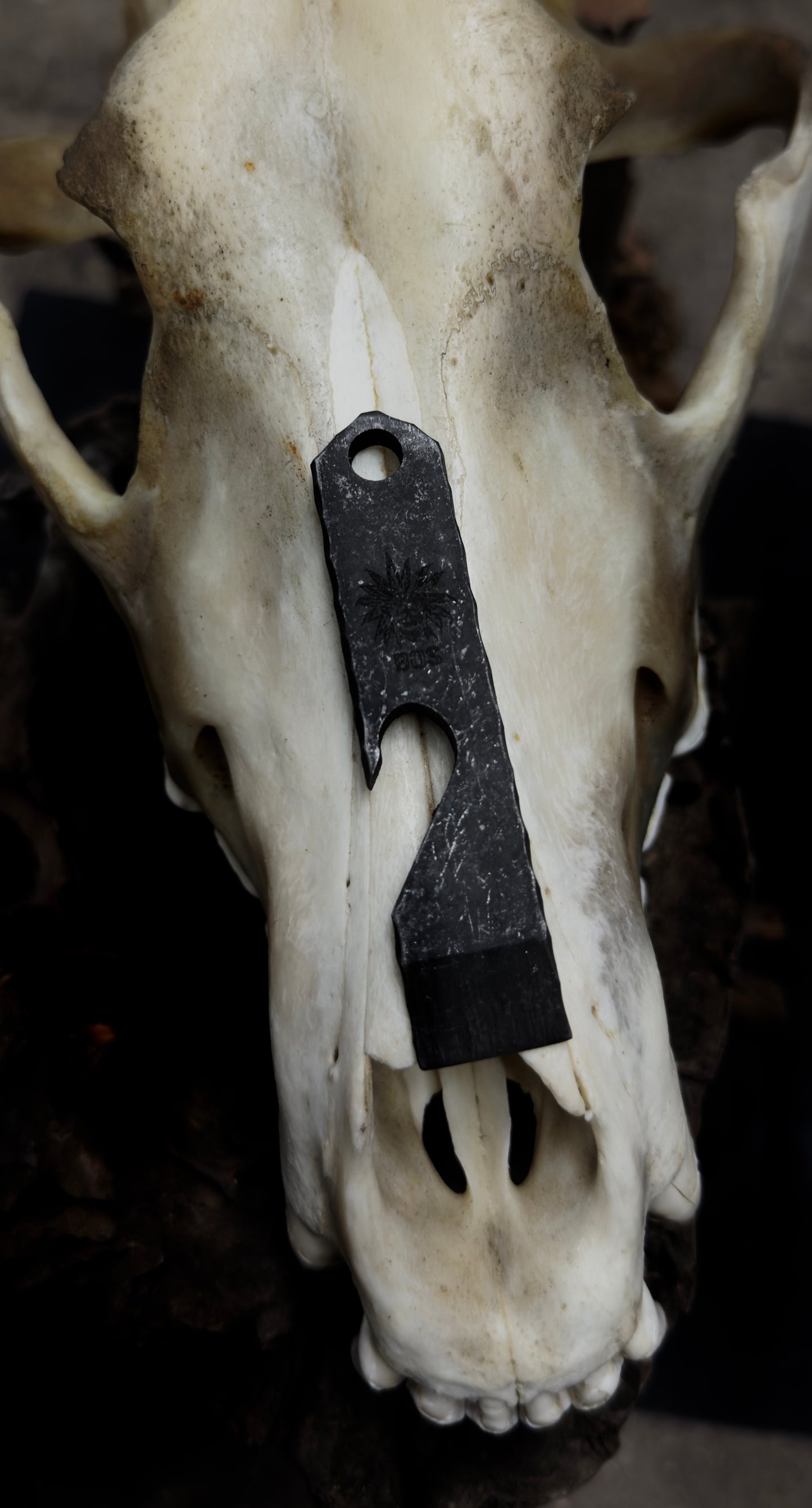 Bottle opener pry tool